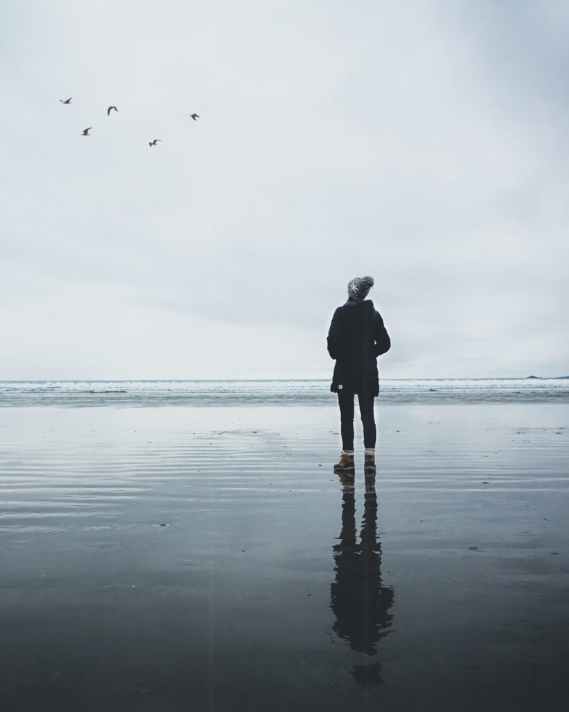 Persona en la playa viendo pájaros.