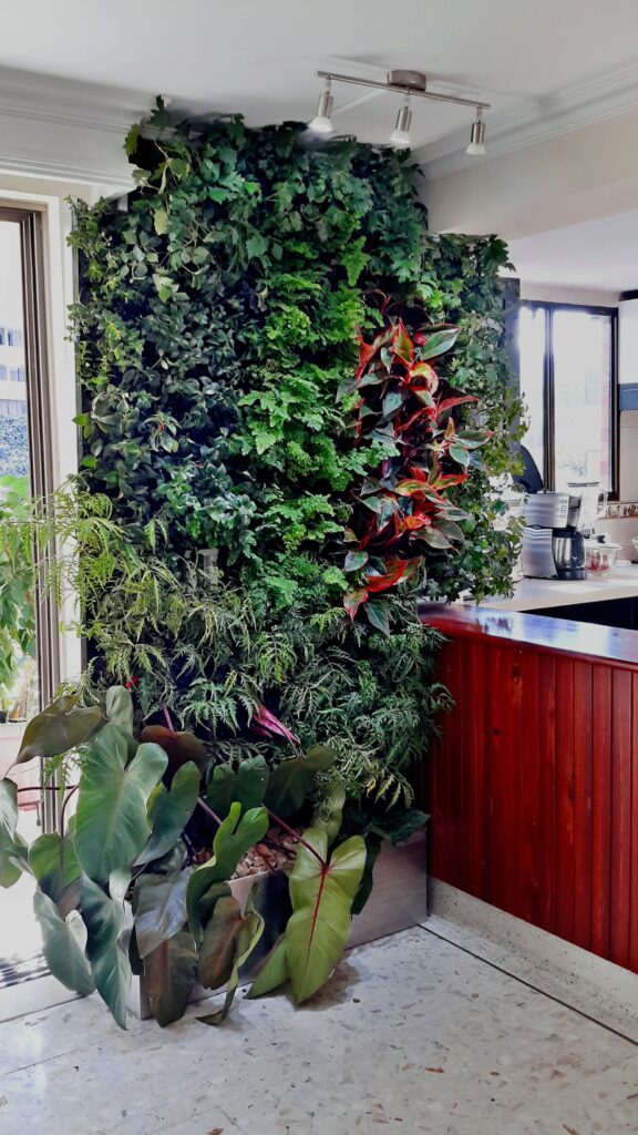 Razones para tener un jardín vertical