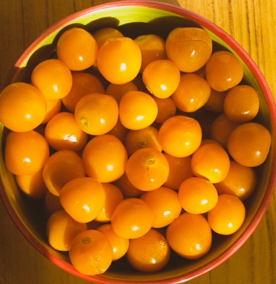 Receta de pie de aguaymanto 