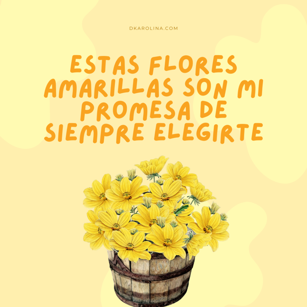 Frases para regalar flores amarillas - dkarolina.com