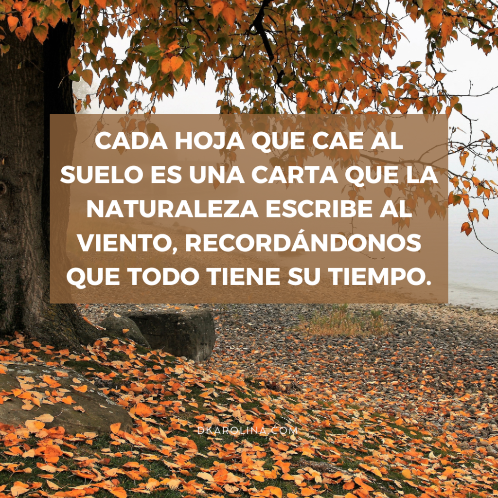 Frases de otoño para tus post de Instagram dkarolina.com