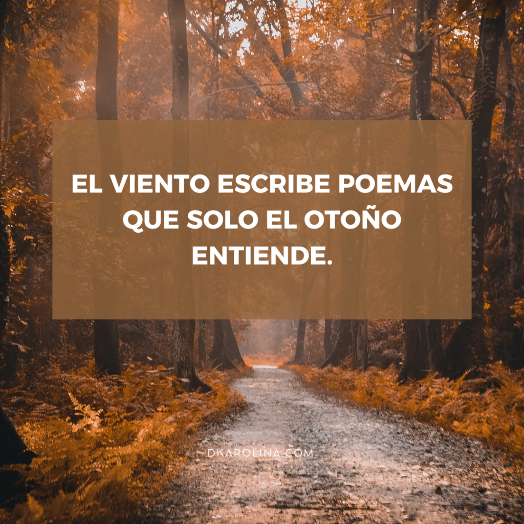 Frases de otoño para tus post de Instagram dkarolina.com