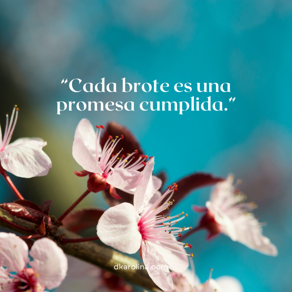 Frases de primavera para tus post de Instagram - dkarolina.com