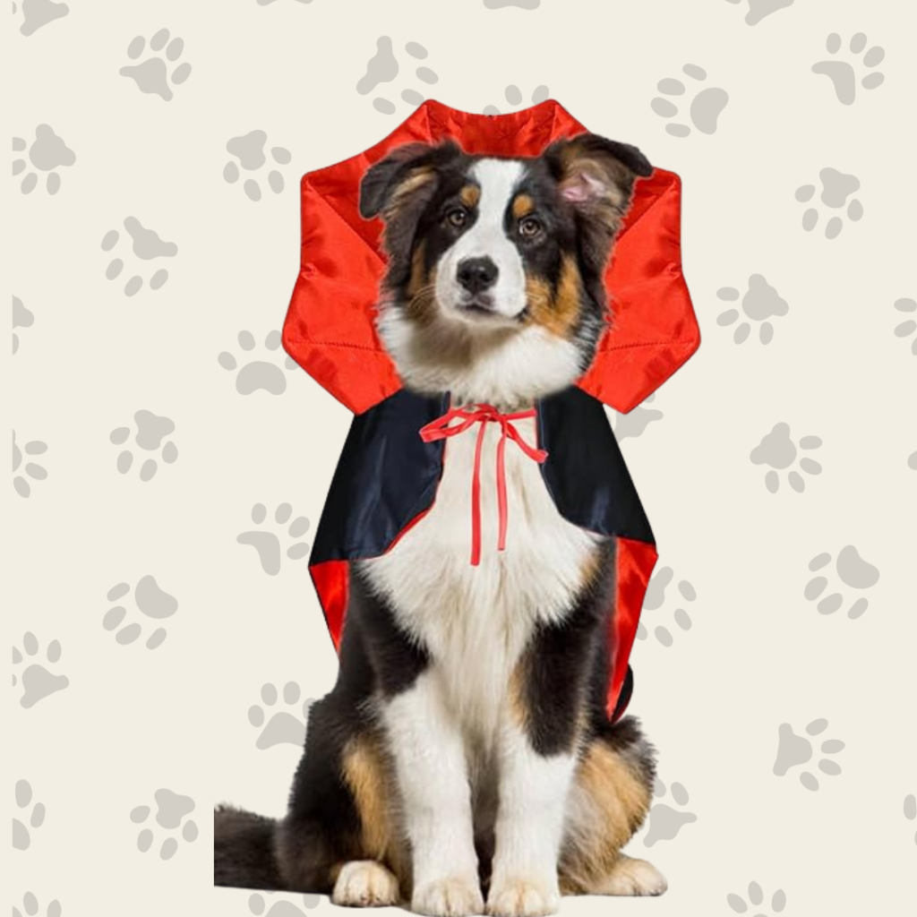 Disfraces para perros para este Halloween - dkarolina.com