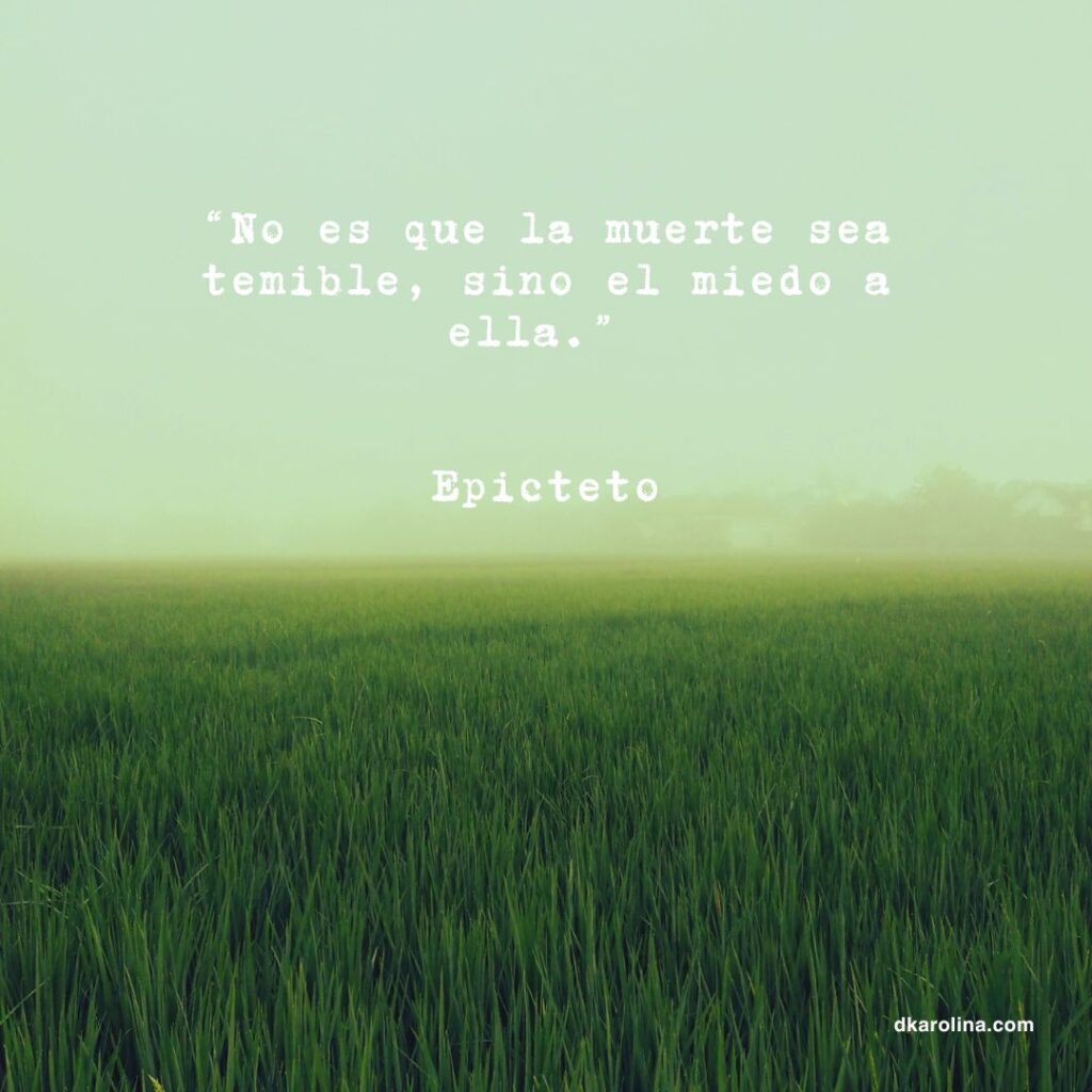 Frases Estoicas: reflexiones de sabiduría para la vida diaria - dkarolina.com