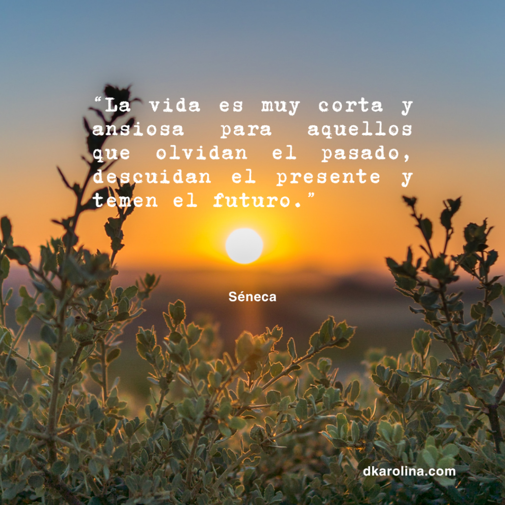 Frases Estoicas: reflexiones de sabiduría para la vida diaria - dkarolina.com