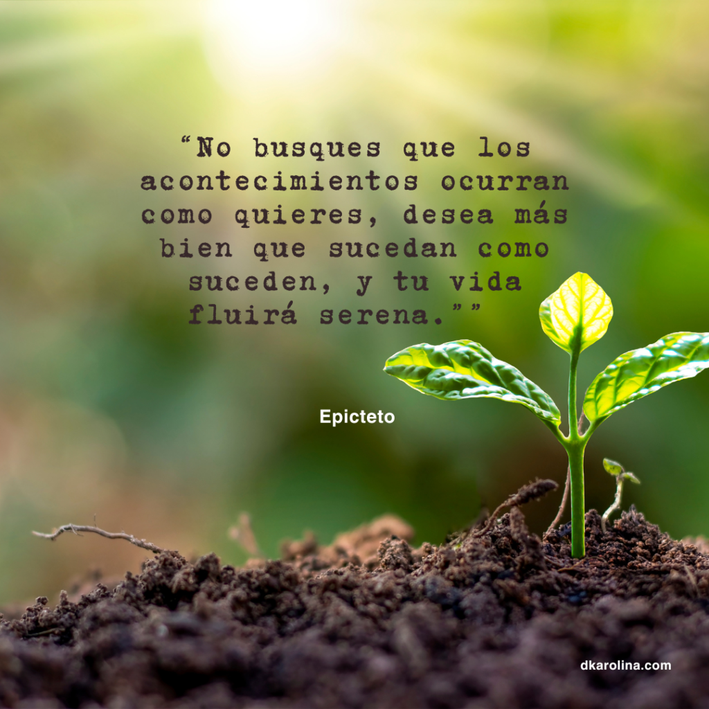 Frases Estoicas: reflexiones de sabiduría para la vida diaria - dkarolina.com