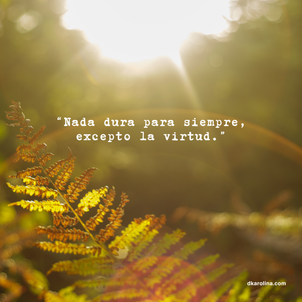 Frases Estoicas: reflexiones de sabiduría para la vida diaria - dkarolina.com