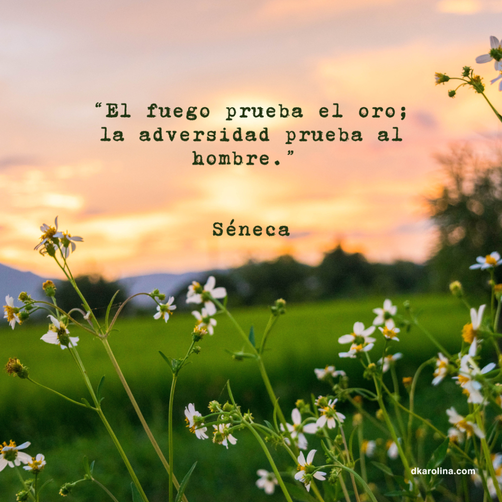 Frases Estoicas: reflexiones de sabiduría para la vida diaria - dkarolina.com