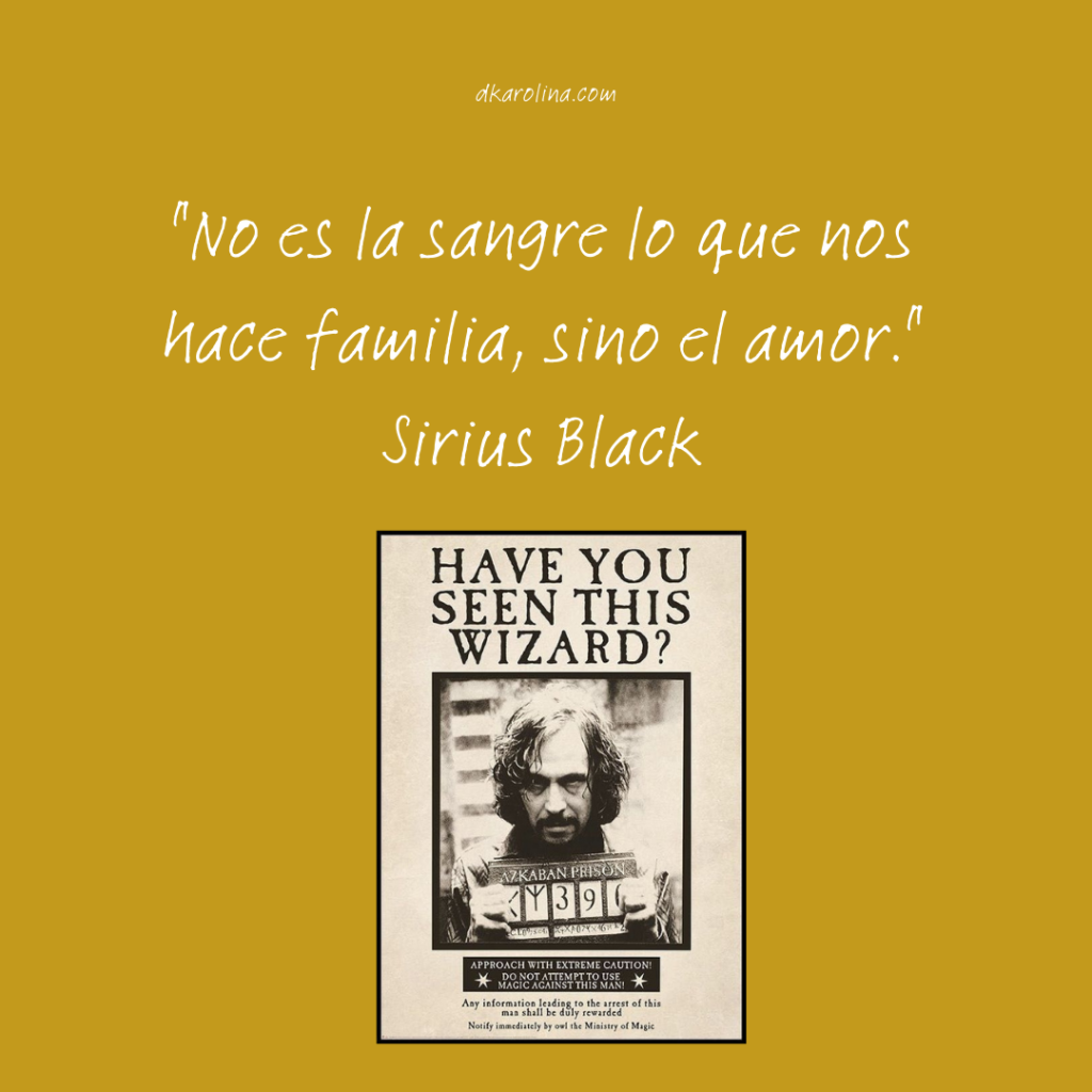 Las mejores frases de Harry Potter - DKAROLINA.COM