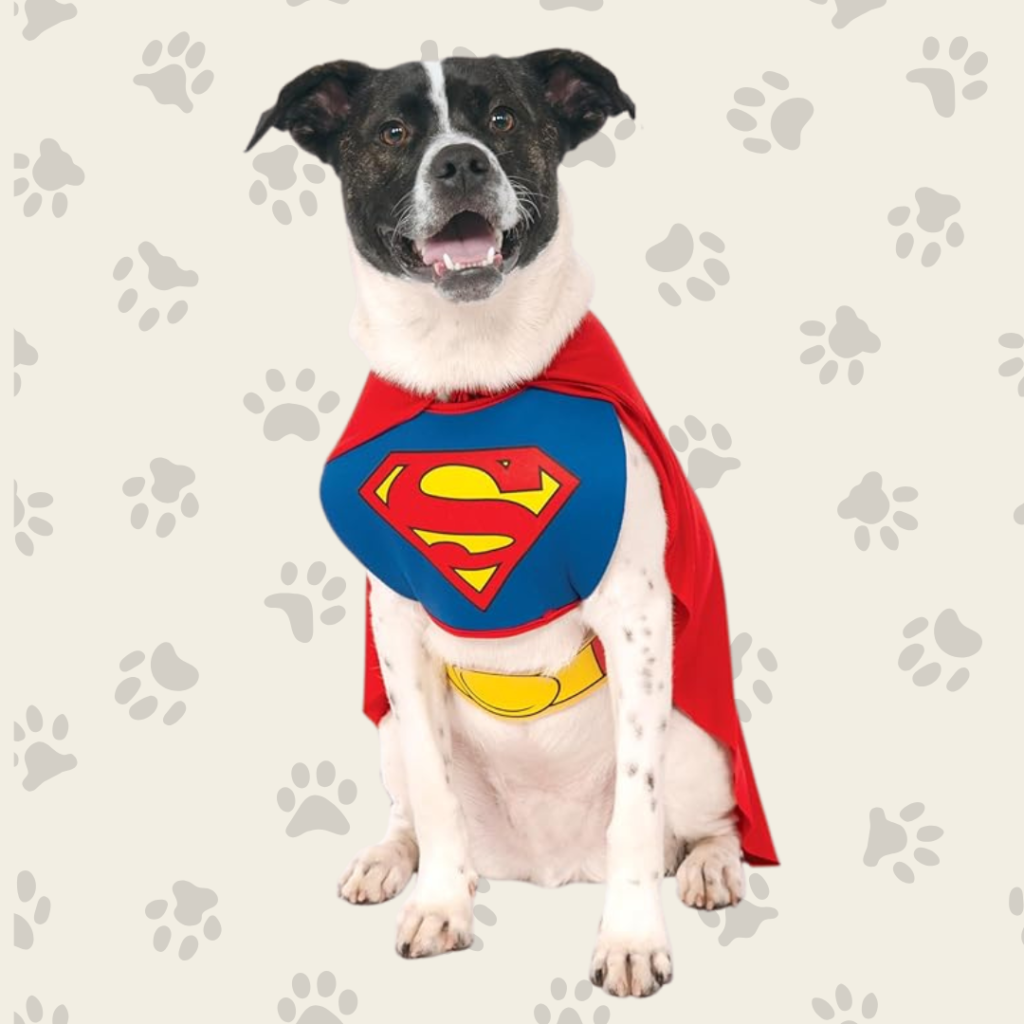 Disfraces para perros para este Halloween - dkarolina.com